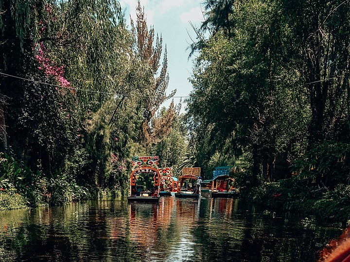 Cosa vedere a Città del Messico: Xochimilco