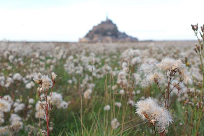 Normandia in 5 giorni: Mont Saint Michel