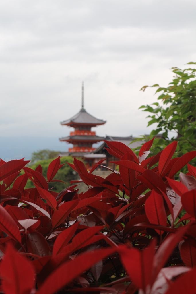 Viaggio a Kyoto