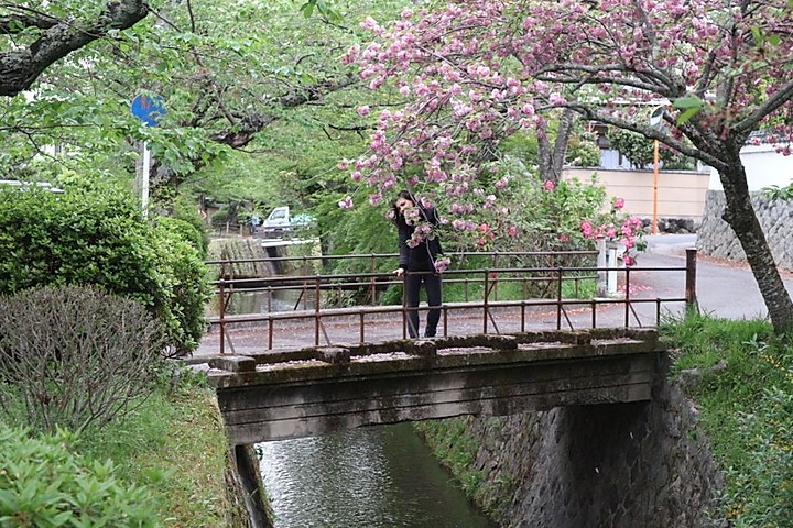 Giorno 2 del mio viaggio a Kyoto