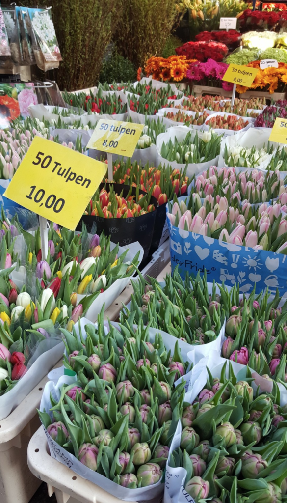 tulipani di Amsterdam