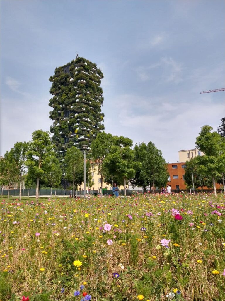 La Biblioteca degli Alberi tra i quartieri Isola e Garibaldi