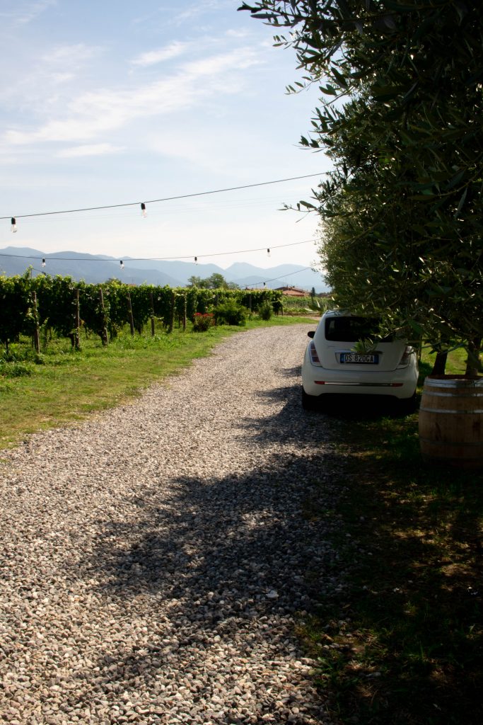 Pranzo in una cantina della Franciacorta: Tenuta Ambrosini