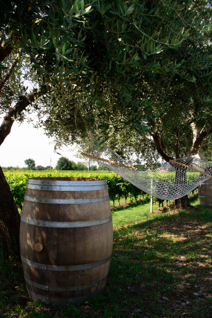 Pranzo in una cantina della Franciacorta: Tenuta Ambrosini