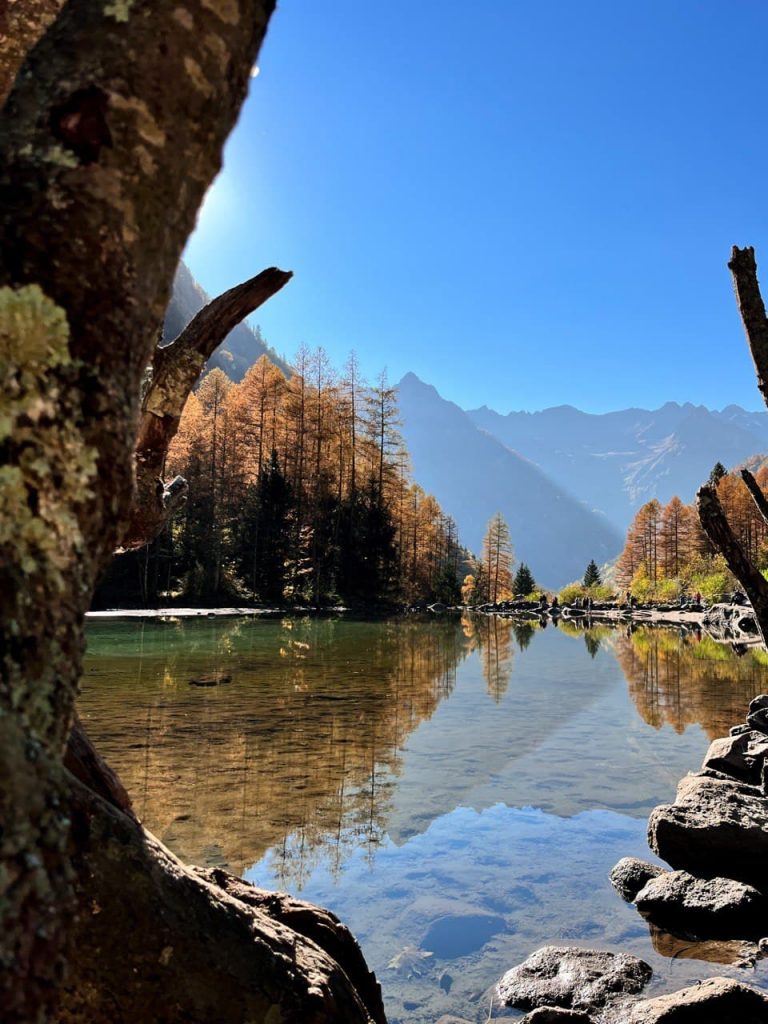 Foliage in Val di Mello