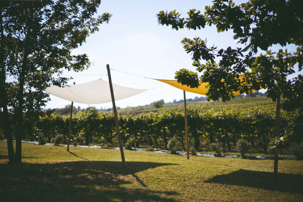 Picnic in cantina nell'Oltrepò Pavese: Az. Agr. Manuelina