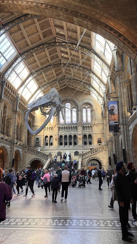 5 giorni a Londra: Natural History Museum